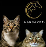 cannavet