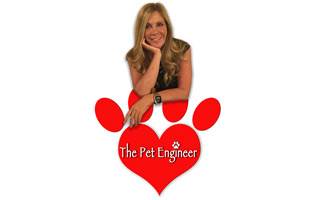 The Pet Engineer Blog