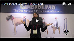 GingerLead