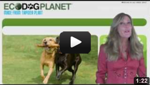 Eco Dog Planet